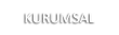 Kurumsal